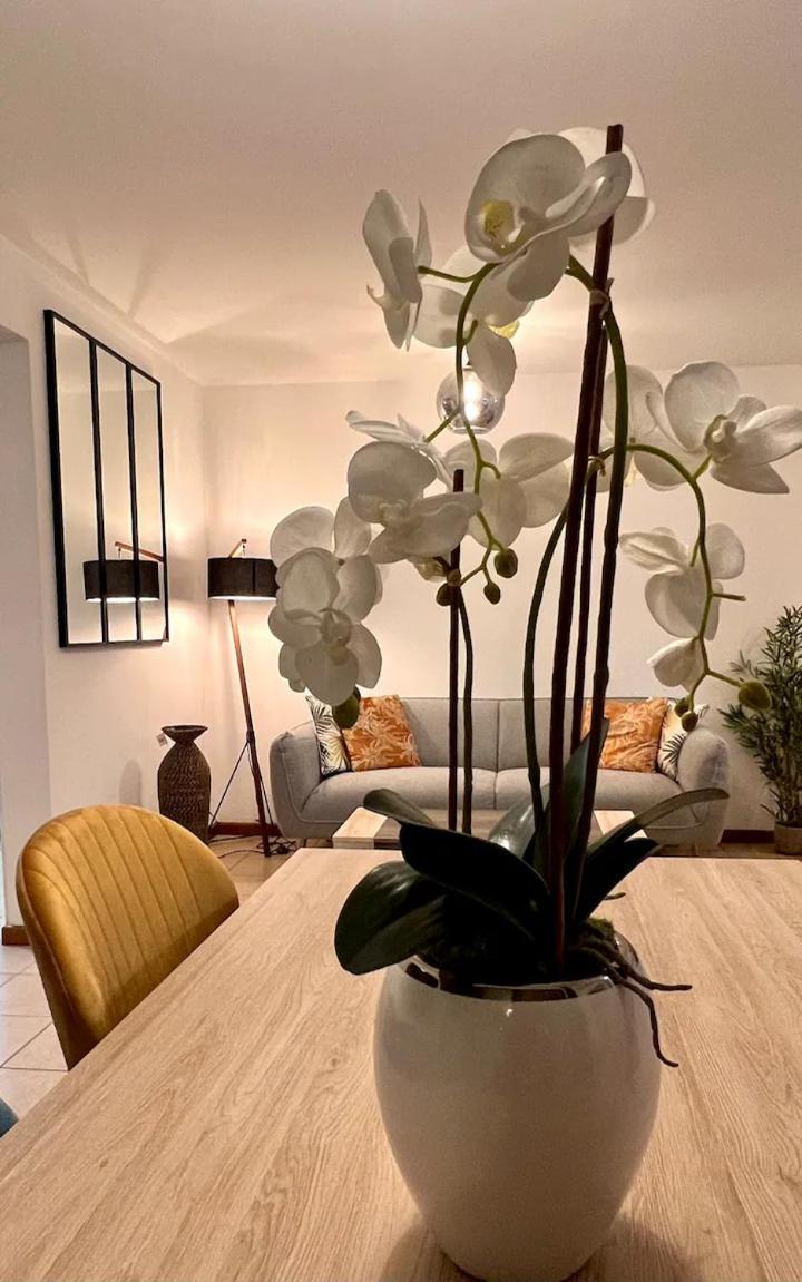Chez Gerard Apartment Saint Pierre Bagian luar foto