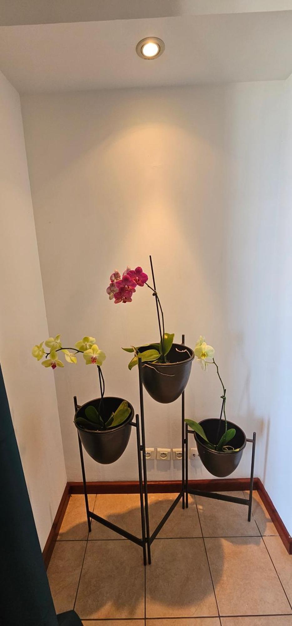 Chez Gerard Apartment Saint Pierre Bagian luar foto